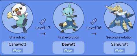 oshawott evolve|oshawott evolution chart.
